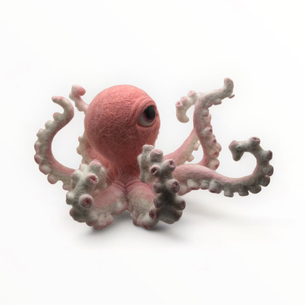 Felt Cycloptopus