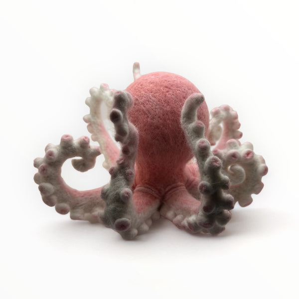 Felt Cycloptopus